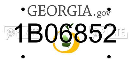 1B06852 Georgia License Plate