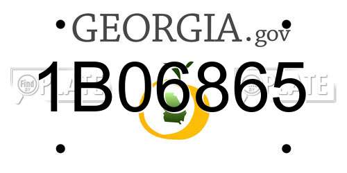 1B06865 Georgia License Plate