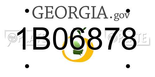 1B06878 Georgia License Plate