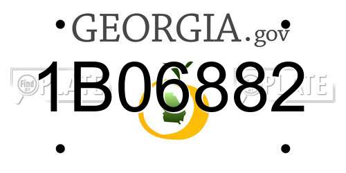 1B06882 Georgia License Plate