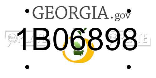 1B06898 Georgia License Plate