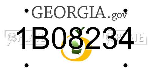 1B08234 Georgia License Plate