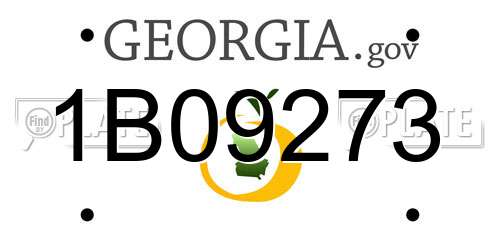 1B09273 Georgia License Plate