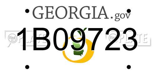 1B09723 Georgia License Plate