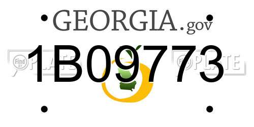 1B09773 Georgia License Plate