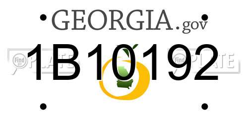 1B10192 Georgia License Plate