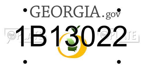 1B13022 Georgia License Plate
