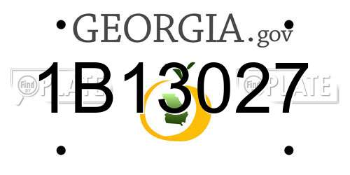 1B13027 Georgia License Plate