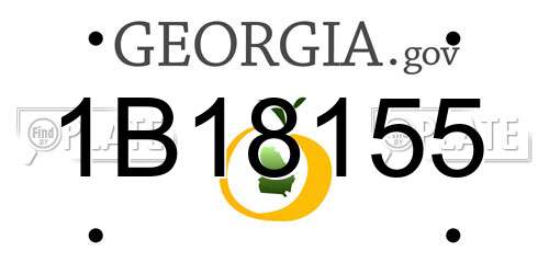 1B18155 Georgia License Plate