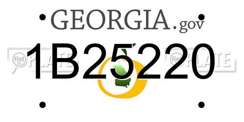 1B25220 Georgia License Plate