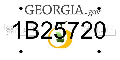 1B25720 Georgia License Plate