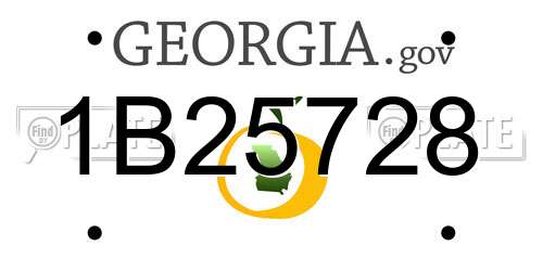 1B25728 Georgia License Plate