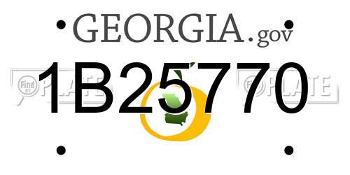 1B25770 Georgia License Plate