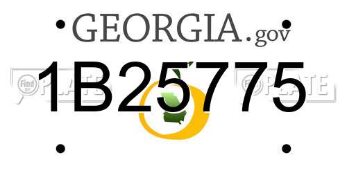 1B25775 Georgia License Plate