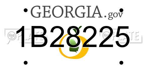 1B28225 Georgia License Plate