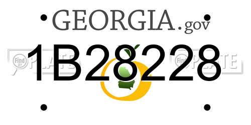 1B28228 Georgia License Plate