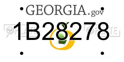 1B28278 Georgia License Plate