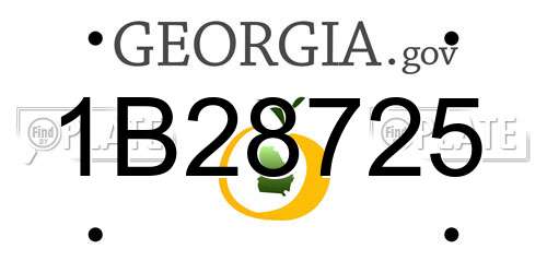 1B28725 Georgia License Plate