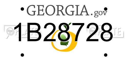 1B28728 Georgia License Plate