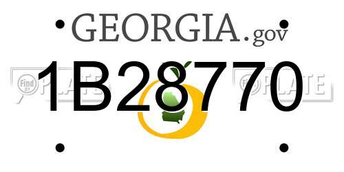 1B28770 Georgia License Plate