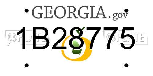 1B28775 Georgia License Plate