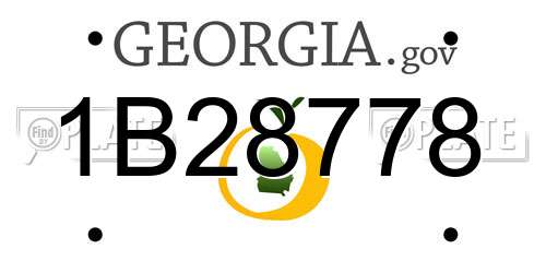 1B28778 Georgia License Plate