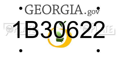 1B30622 Georgia License Plate
