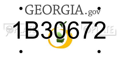 1B30672 Georgia License Plate