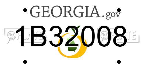 1B32008 Georgia License Plate
