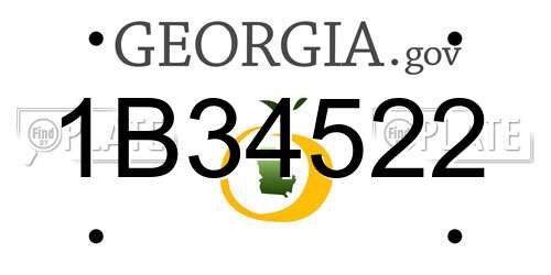 1B34522 Georgia License Plate