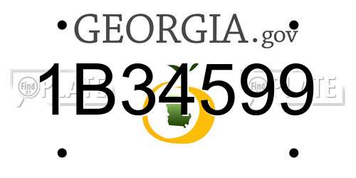 1B34599 Georgia License Plate