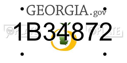 1B34872 Georgia License Plate