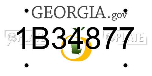 1B34877 Georgia License Plate