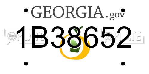 1B38652 Georgia License Plate