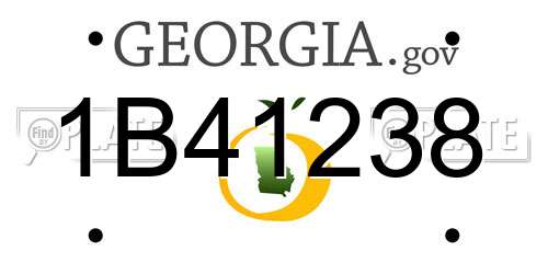 1B41238 Georgia License Plate