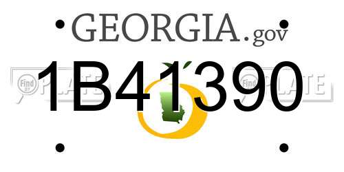 1B41390 Georgia License Plate