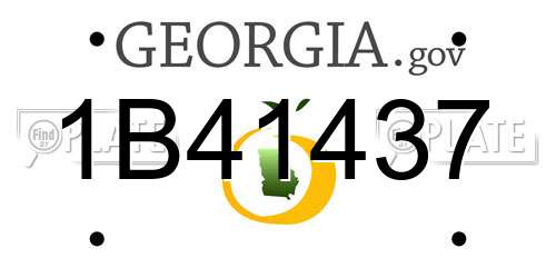 1B41437 Georgia License Plate