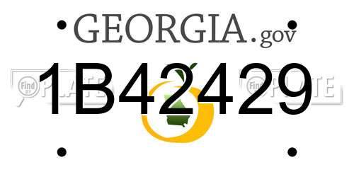 1B42429 Georgia License Plate