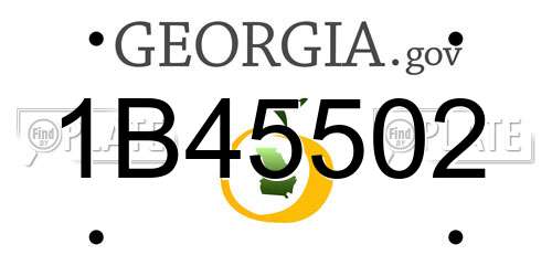 1B45502 Georgia License Plate