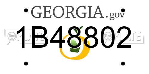 1B48802 Georgia License Plate