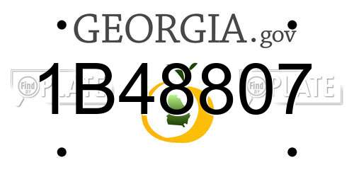 1B48807 Georgia License Plate