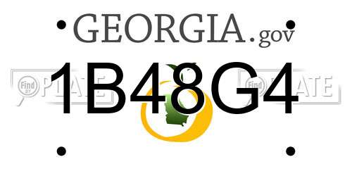 1B48G4 Georgia License Plate