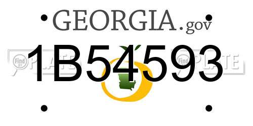 1B54593 Georgia License Plate