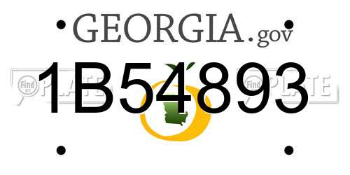 1B54893 Georgia License Plate