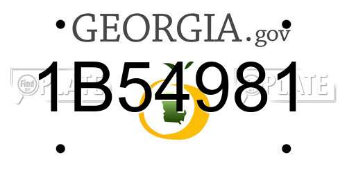 1B54981 Georgia License Plate