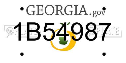 1B54987 Georgia License Plate