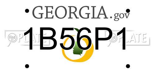 1B56P1 Georgia License Plate