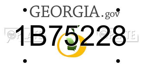 1B75228 Georgia License Plate