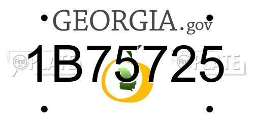 1B75725 Georgia License Plate