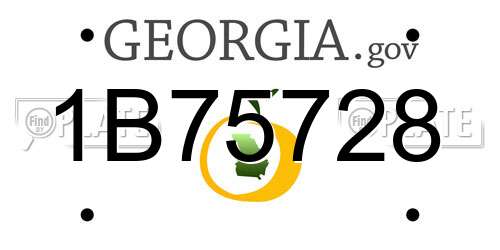 1B75728 Georgia License Plate